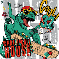 What I Call House Vol.32 by Emre K.
