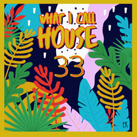 What I Call House Vol.33 by Emre K.