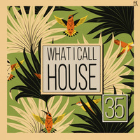 What I Call House Vol.35 by Emre K.
