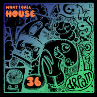 What I Call House Vol. 36 by Emre K.