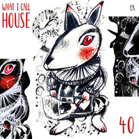 What I Call House Vol.40 by Emre K.