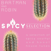 Spicy Selection by Bart
