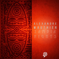 Alexandre Wauthier - Zambia Nights
