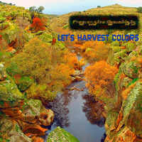 Let's Harvest Colors by Progressive Anarchists