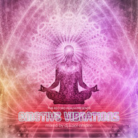 Emotive Vibrations by The Record Realm