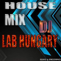House Mix Lab Hungary Vol.08 by Roland Radics