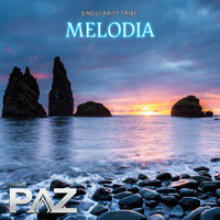 MELODIA - Singularity Tribe - Live by Pazhermano