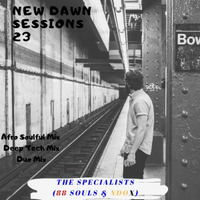 New Dawn Sessions 23 (Duo Mix) By The Specialists (88 Souls &amp; Ndox) by 88 Souls