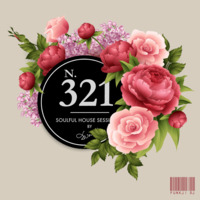 N. 321 - soulful house by funkji Dj