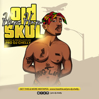 OLD SKUL HIP HOP [Live set mixtape] by Pro Dj Chelly