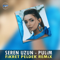 Seren Uzun - Pulim (Fikret Peldek Remix) 2019 by DJ Fikret Peldek