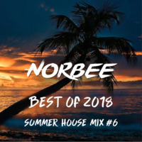 Best Of 2018 - Summer House Mix #6 by Norbee