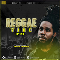 Reggae Vibe Vol 1 by Dj Tush Untamed