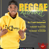 Weru Fm Reggae Kuruka (Roots Edition) Set 1 by Dj Tush Untamed