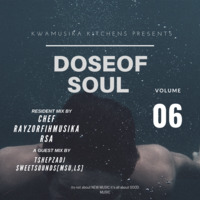 DoseOfSoul Vol 06[BirthdayCombo] Guest Mix By TshepzaDJ Sweetsounds[Msu,LS] by Chef RayzorFihMusika