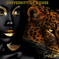 University of HOUSE ( Lesson 03: Afro House ) by SoulfulDoS