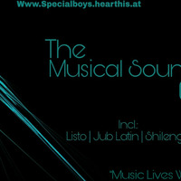 Musical Sounds 04 Guest Mix By Shilenge by Special Boys