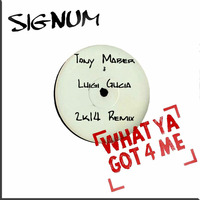 Signum - What Ya Got 4 Me (Tony Maber & Luigi Gucia Remix 2k14) by Luigi Gucia