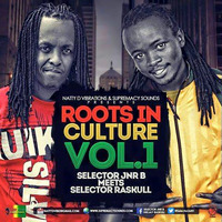 Roots IN Culture Vol 1. Selector Jnr B Meets Dj Raskull by Blazing Vybz