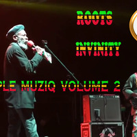 Selector Bluzz--2--Roots Invinity #Big Pple Muziq Vol.2_x264 by Selector Bluzz