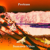 Peetrass - Summer Vibes (Original Mix) by PeetRass