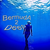 Bermuda Deep vol2 by Glenn Fonk E.T. Tucker