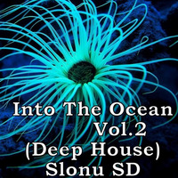 Into The Ocean  (Vol.2) 2019 - Slonu SD by DJ Slonu SD
