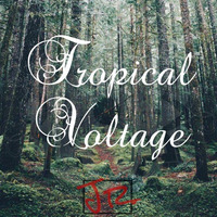 Armand Jr - Tropical Voltage by Armand Doe