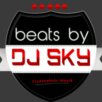 Beats by sky The Ragga Series 101 by djsky256