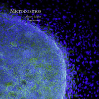 06 - Microcosmos VI by alvarolopezb