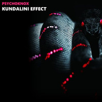 Kundalini Effect by PsYchoKNOX