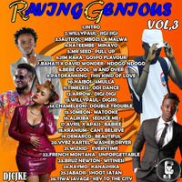 Raving Genious vol.3 (mbozi) by Djcjke