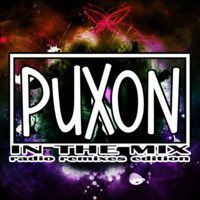 In The MiX (Radio Remixes) (17.02.2019) by PuXoN