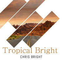 Bring Back The Summer (Chris Bright Mashup) by Chris Bright ◾◽