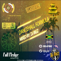 DJ Bigz - Dancehall Formula Mix by Full Fledge