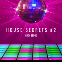 Andy Sedge Presents- House Secrets #2 by ANDY SEDGE