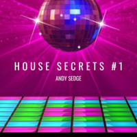 Andy Sedge Presents- House Secrets #1 by ANDY SEDGE