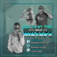 Party in the Wild Mixtape -DJ Van Vee X DJ Icon Carifesta by DeejayIcon Carifesta
