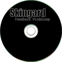Psychedelic Drug Use by Skingard music
