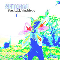 Feedback Vindaloop by Skingard music