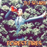 Forest Fires by djslurk