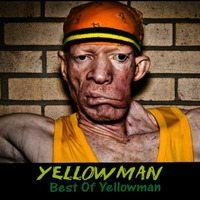 Selector Spin - The Best Of King Yellowman-1 by Selector Spin