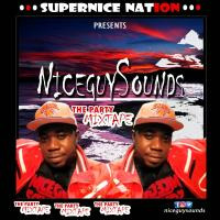 The Party Mixtape -Niceguysounds [DJ] by niceguysounds