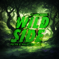 Kaiser Souzai - Wild Side (PECYN  & DJ WALUŚ Bootleg) by DJ WALUŚ
