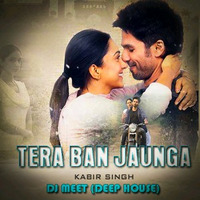 Tera Ban Junaga (Remix) |DJ Meet |Kabir singh by DJ Meet (Official)