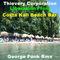 THIEVERY CORPORATION - LIBERATION FRONT ( George Funk Rmx ) by George Funk