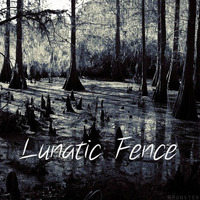 Lunatic Fence by Arunjyoti Das