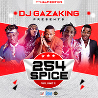 254 SPICE MIXTAPE VOL_2(1st Half Edition) - DJ GAZAKING THA ILLEST (AUDIO VERSION) by DjGazaking