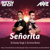 Senorita (Camilla Cabello) Dj Sandy Singh X Dj Anne Moombahton Remix by Dj Sandy Singh