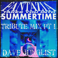 Fantazia Takes You Into Summertime Tribute Mix Pt I by Dave Junglist